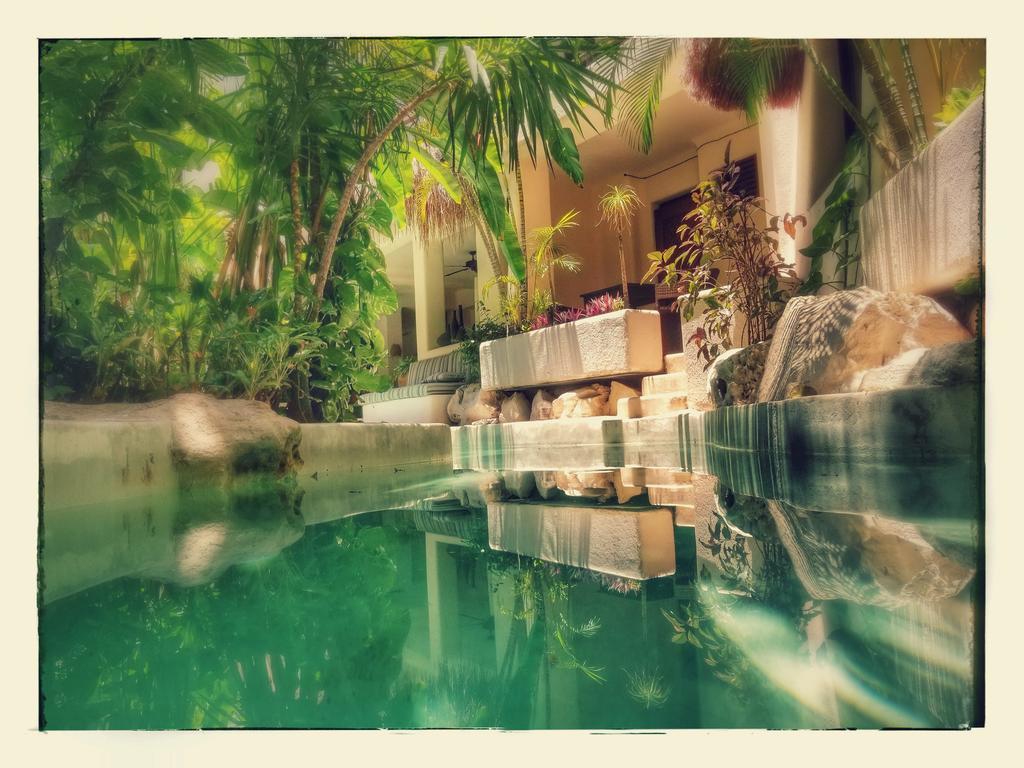 La Tortuga Hotel & Spa - Adults Only Playa del Carmen Dış mekan fotoğraf