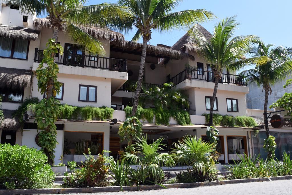 La Tortuga Hotel & Spa - Adults Only Playa del Carmen Dış mekan fotoğraf