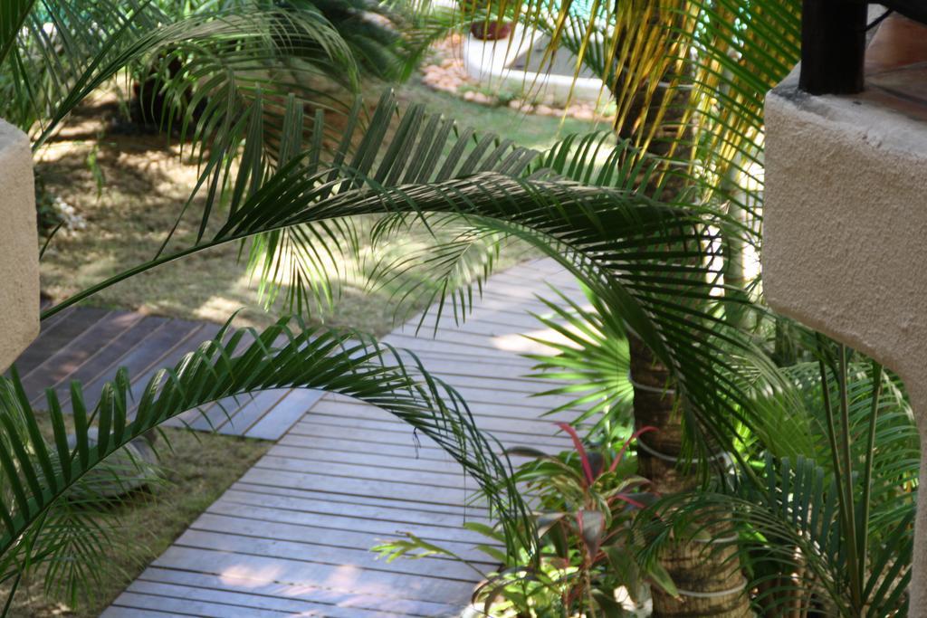 La Tortuga Hotel & Spa - Adults Only Playa del Carmen Dış mekan fotoğraf