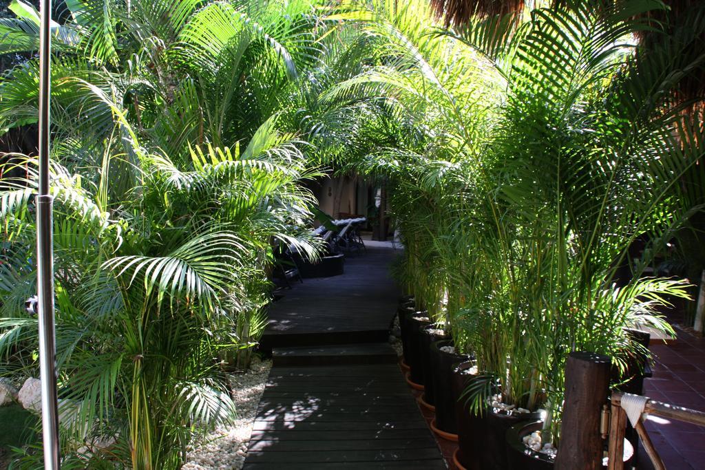La Tortuga Hotel & Spa - Adults Only Playa del Carmen Dış mekan fotoğraf