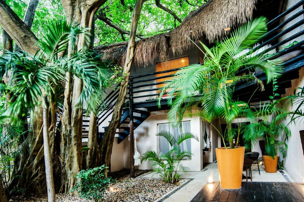 La Tortuga Hotel & Spa - Adults Only Playa del Carmen Dış mekan fotoğraf